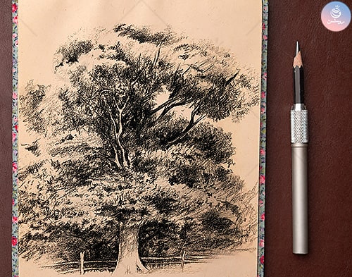 طراحی درخت با مداد
