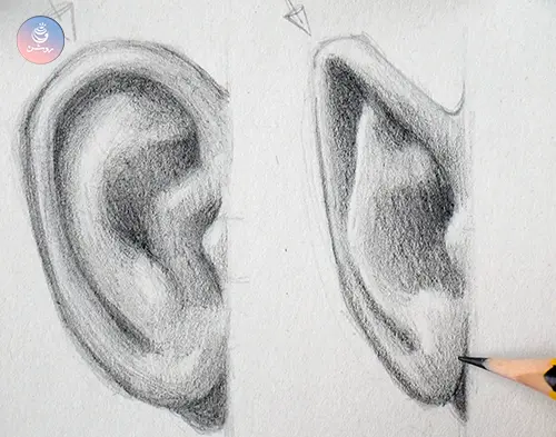 ear-drawing-tutorial-c طراحی گوش