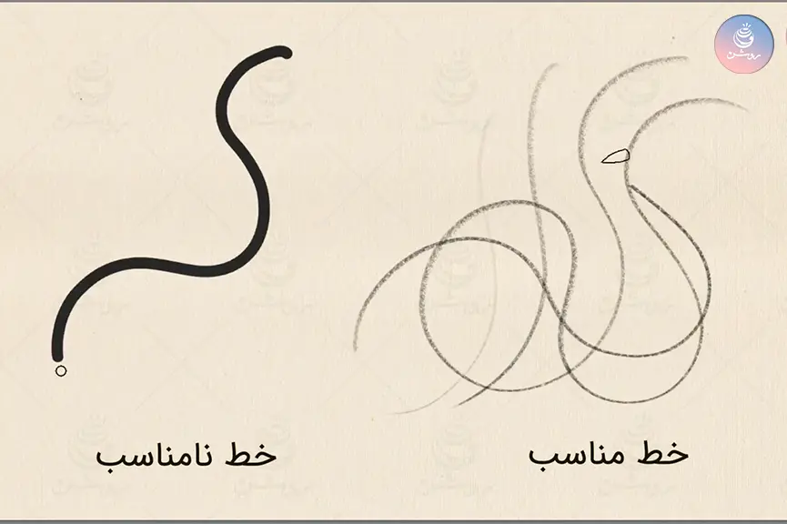 hair-drawing-tips-1 خط مناسب در طراحی مو