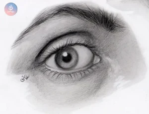 eye anatomy c Home page
