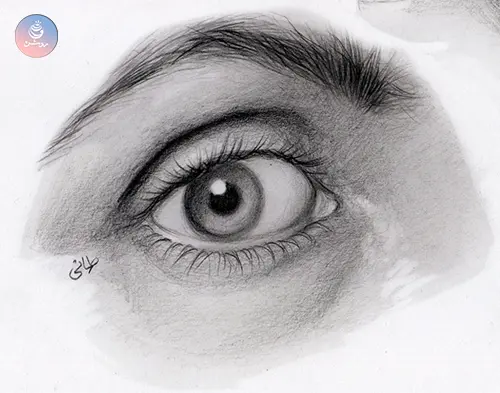 eye-anatomy-c