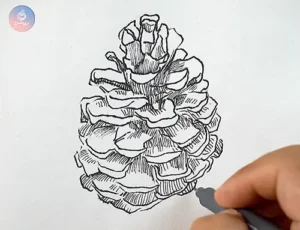 Home page 1 تاب آوری در مشاهده