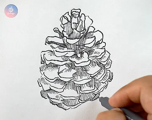 تاب آوری در مشاهده