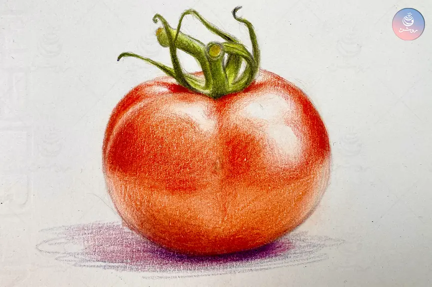نقاشی گوجه با مداد رنگی