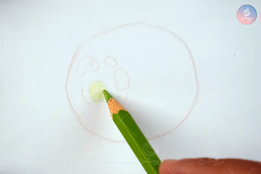 رنگ‌گذاری اتصال ساقه گوجه با سبز روشن