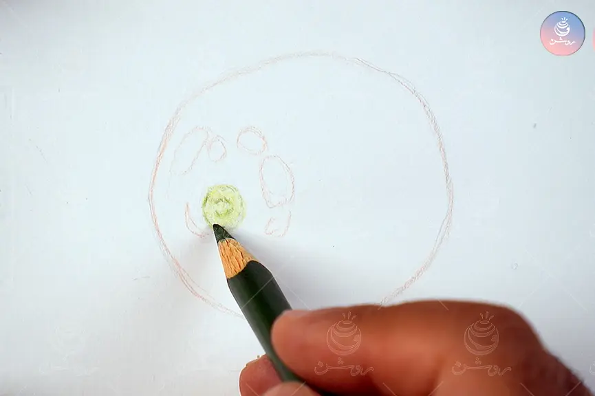 بافت ساقه گوجه با سبز طوسی