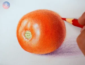 Home page 1 نقاشی گوجه با مداد رنگی