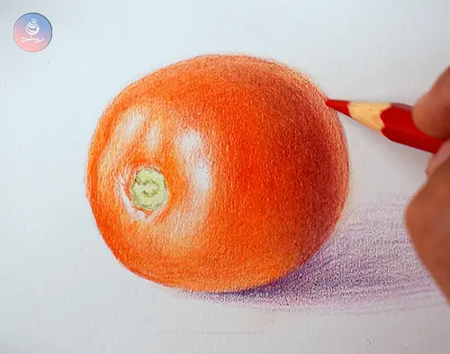 نقاشی گوجه با مداد رنگی